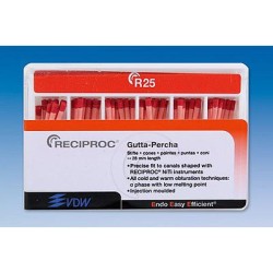 RECIPROC GUTTA R25 ROUGE